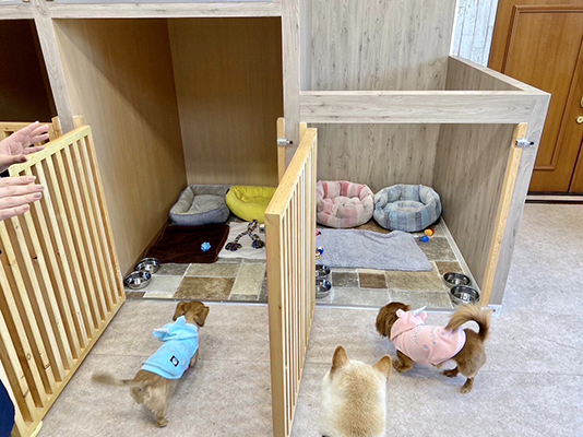 ペットホテルについて